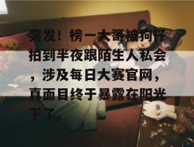 突发！榜一大哥被狗仔拍到半夜跟陌生人私会，涉及每日大赛官网，真面目终于暴露在阳光下了。